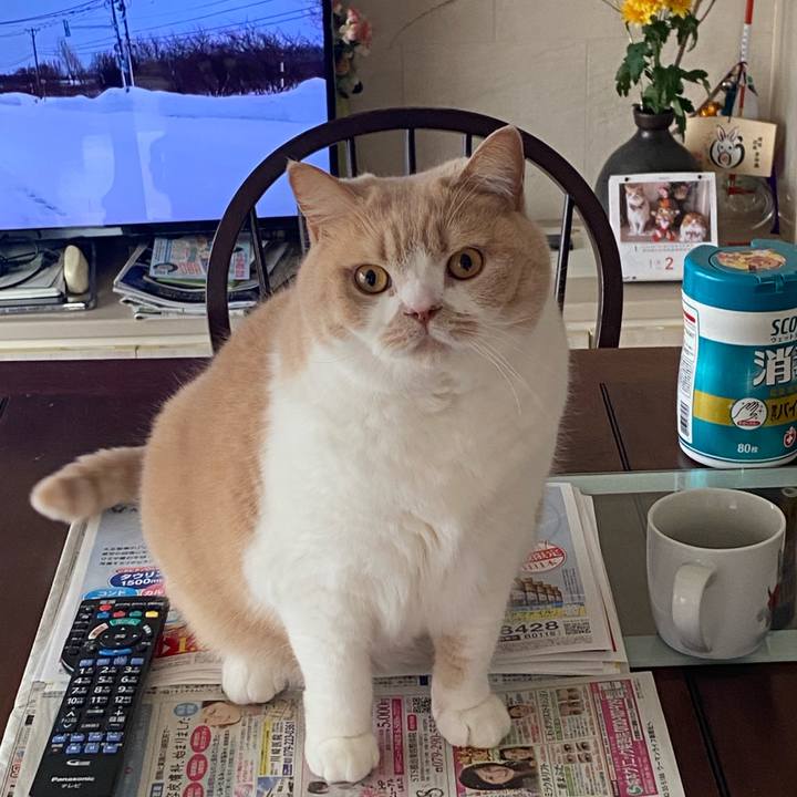 3692709a 407c 4037 aeaa 8cb82468a648 1674691861818