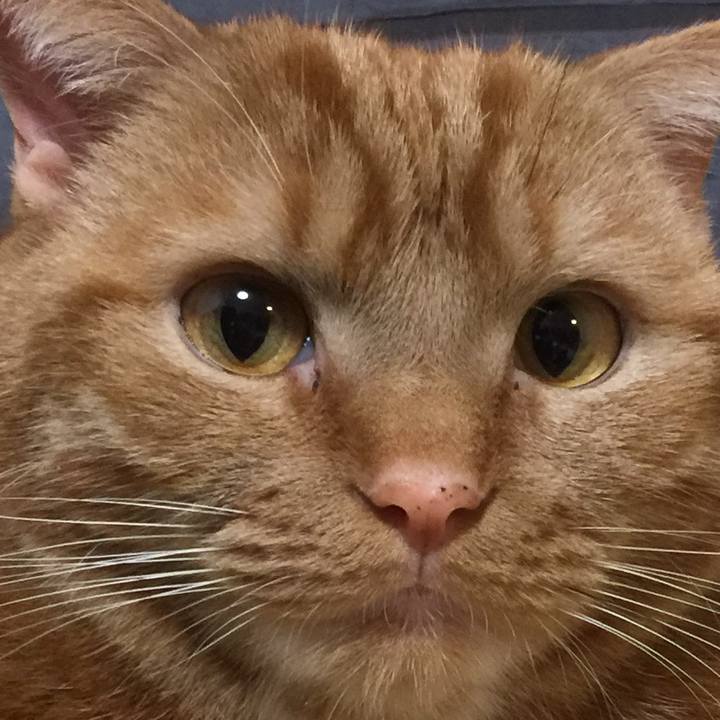 36927303 e306 43da a1b5 98a5bbb6eb31 1554551949194