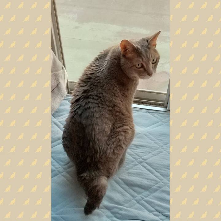 36928109 d736 42c4 b531 dd04ce6d2c3b 1601280166584