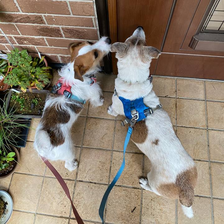 3692f5f7 7c6f 4c08 976f 862f1b0fc4f9 1702341178027