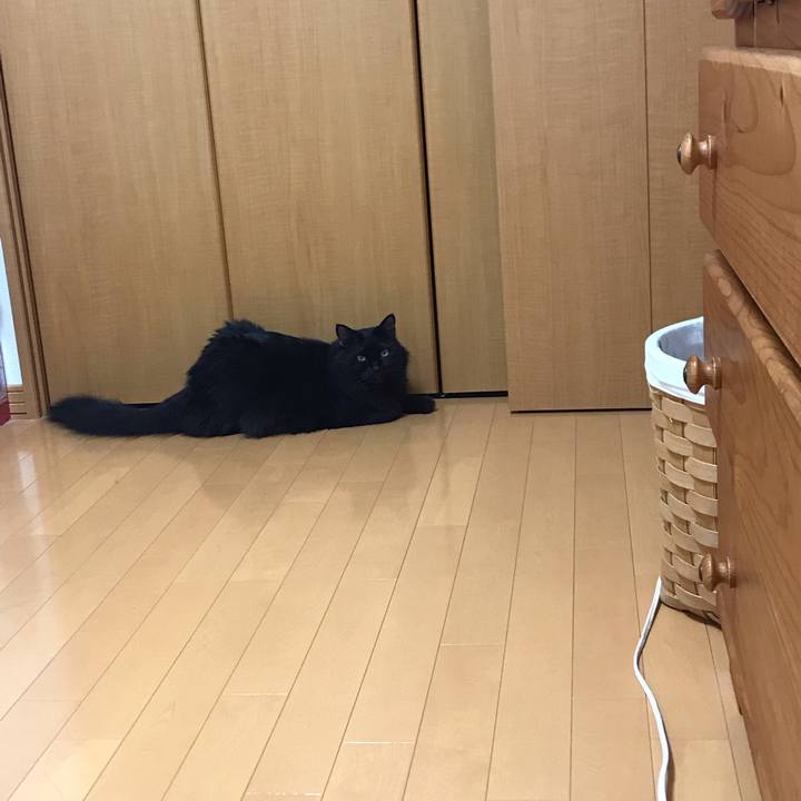 369313ec 2373 49ca 81e3 813006cf9f78 1564182826180