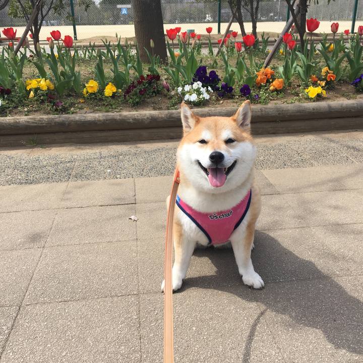 36938e83 045d 464e a6df e207798d693a 1553490088351