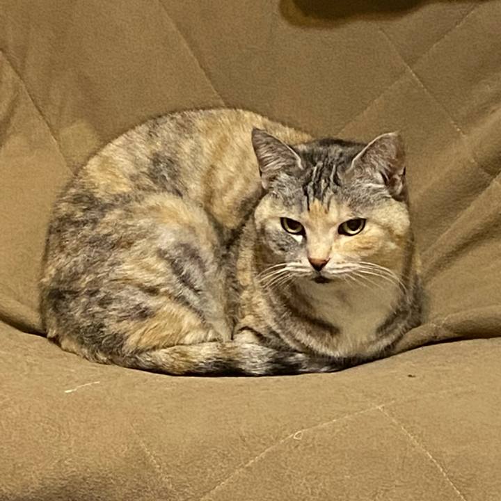 3693c590 08ce 440e a212 6293c79c27d9 1646404042420