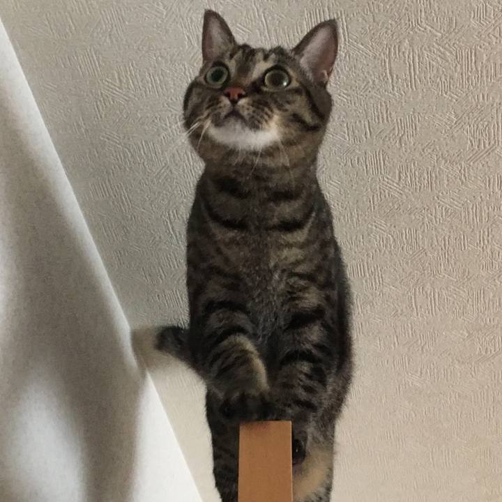 3693ccbb dd4a 4df8 ab54 67564d30c901 1539566747398