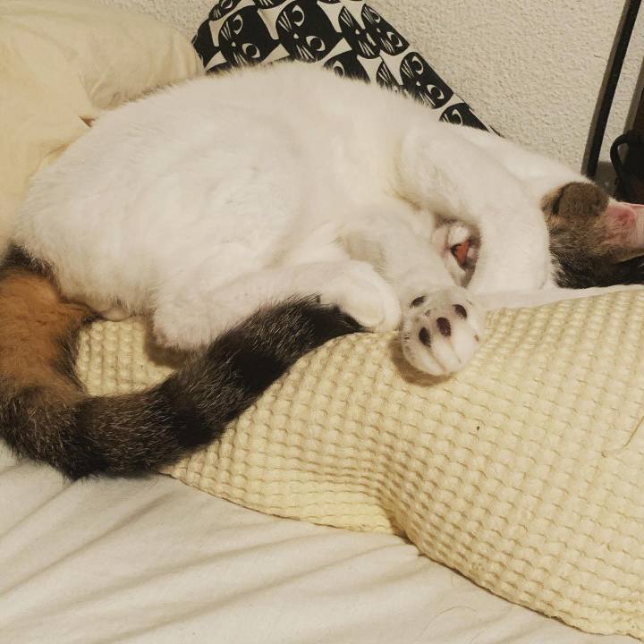 36940384 9365 4692 9431 0e2ea3305e60 1588781788996