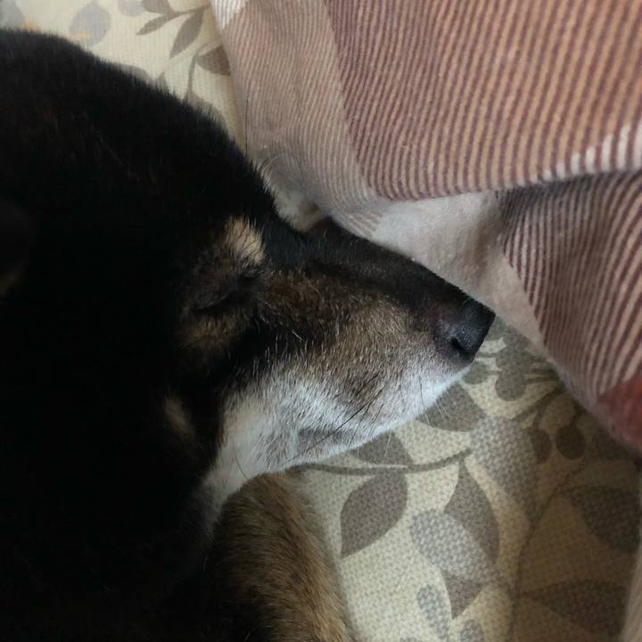 369421c1 6b2a 48c0 88db f51f5551de1f 1541805461843