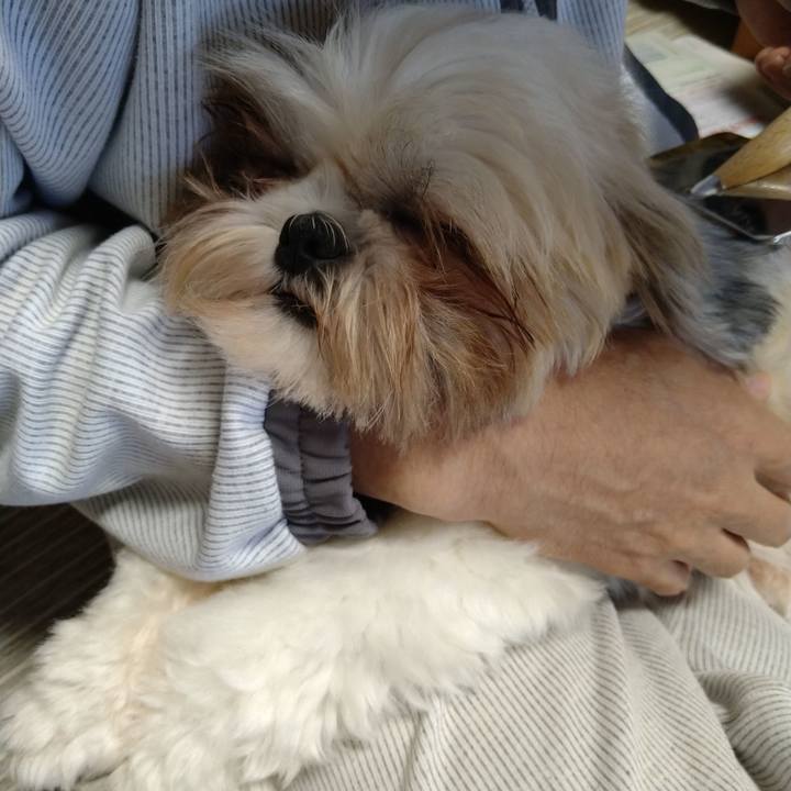 3694314c 98da 46b9 9f9a 35246a450774 1605916315968