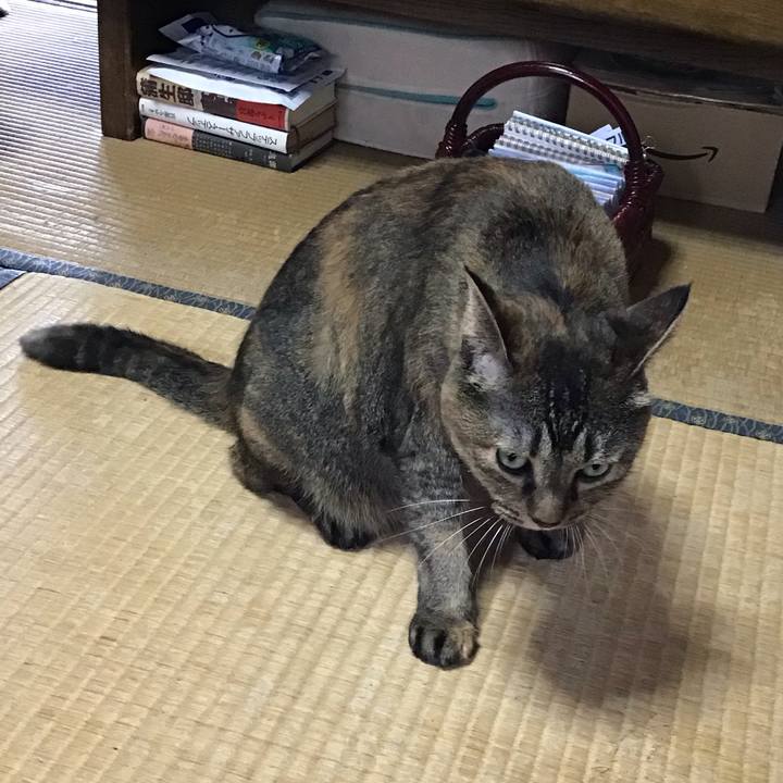 369437e7 0bee 4a6e b09c 93f6e7186baf 1757675775728