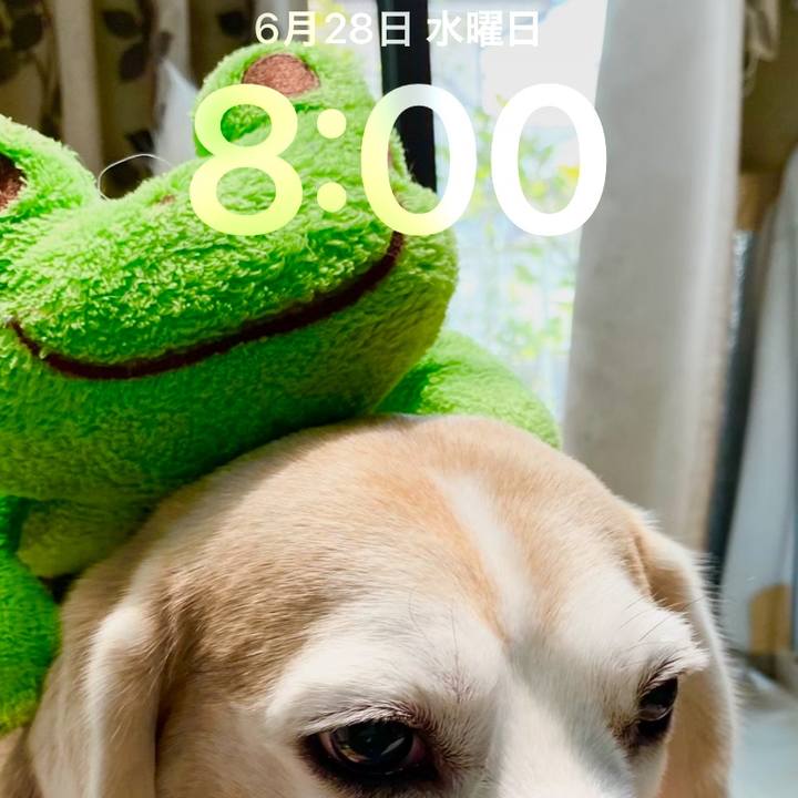 36943cae 44b3 4375 8794 5c1c2f80ac87 1687910736393