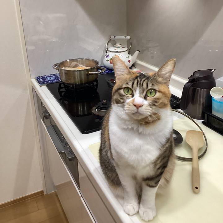 3694463f a972 4304 9603 3b77397edb12 1771388825501