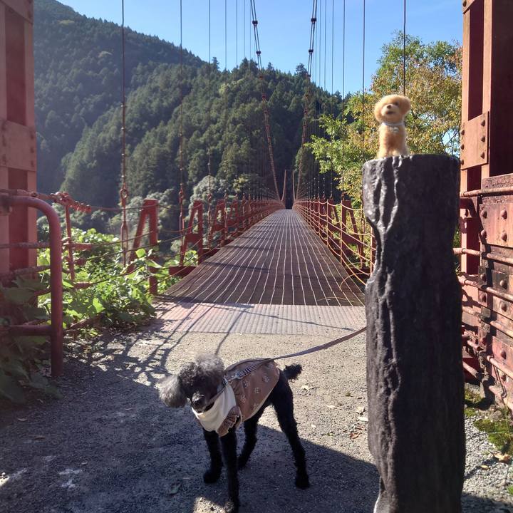 36944790 0b31 4245 8be8 01bab929db28 1762078129865