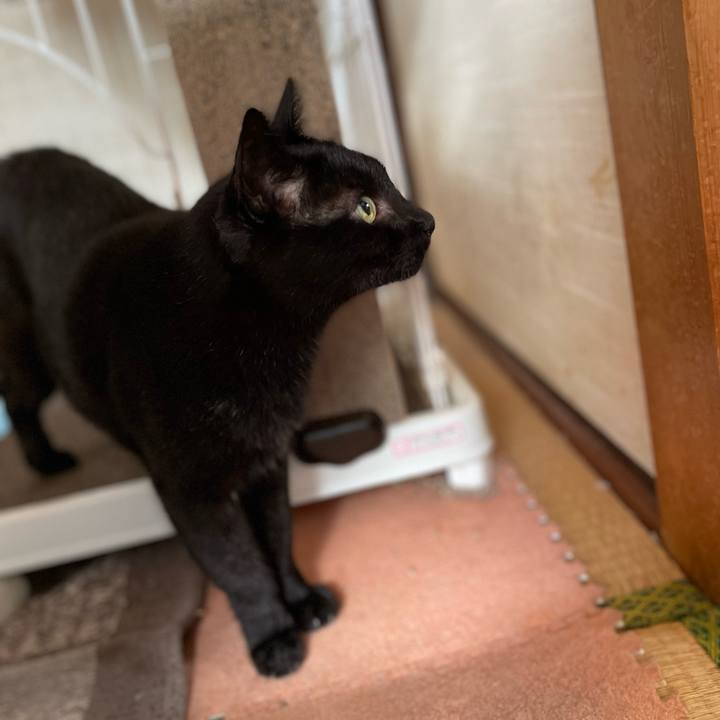 3694694f e0e2 4e41 8936 3bed80e12672 1662081288260