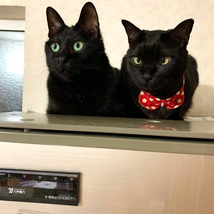 369482b7 c80e 4e4d ab70 576848672007 1586869645809