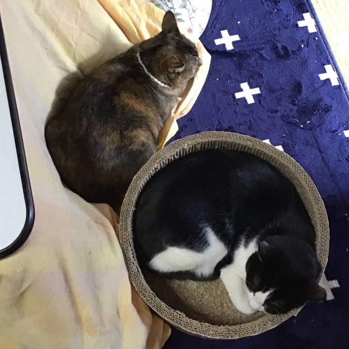 3694c9ac 5127 43b5 b38d d6315e7726cc 1738209568585