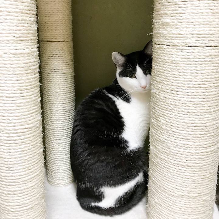 3694cc19 1794 40b4 a38d eb9cef869e1b 1524446160390