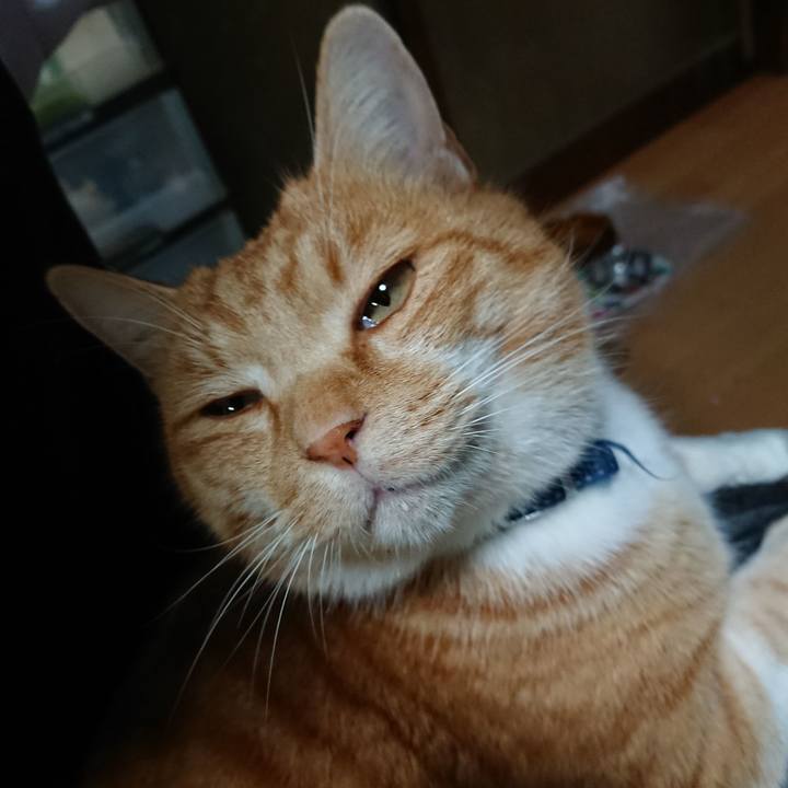 3694eed7 4803 48c7 840a 0370fa63430f 1608110519986