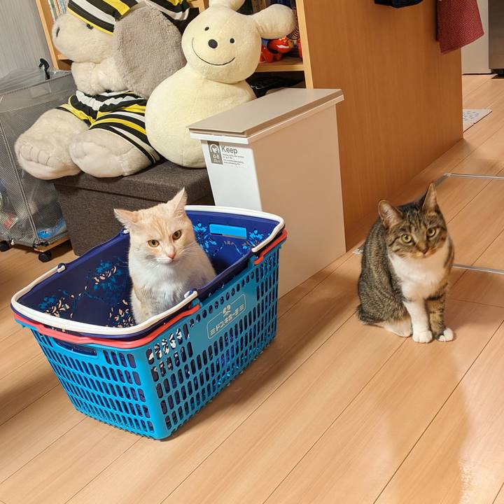 3694f533 b5d6 4987 bf83 3af71a6d329a 1698998120963