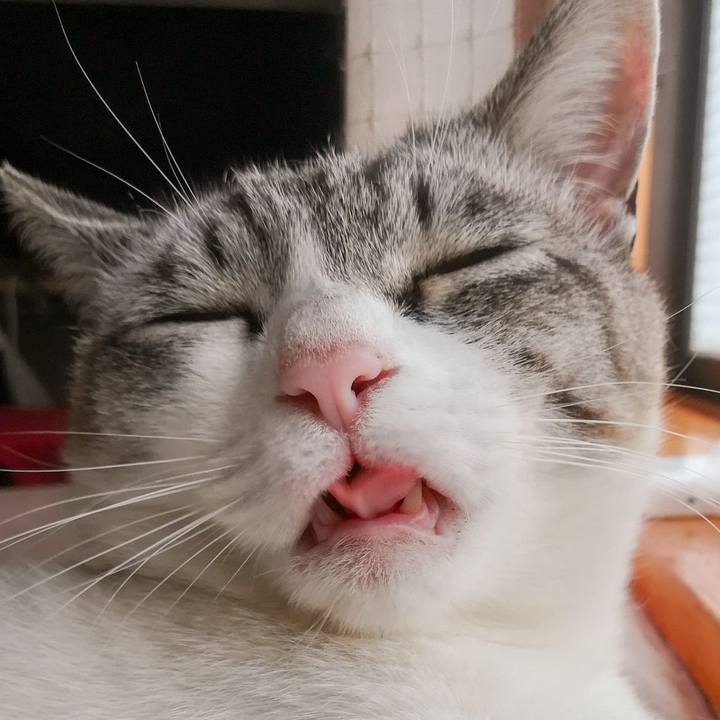 36951011 a225 4b73 965d 95bb404426e7 1588637687543