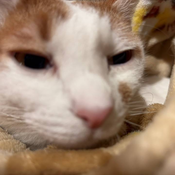 369546be 59af 4ec5 b580 1cc8a1dffac7 1769173445650