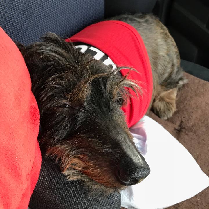 369579c5 b4e4 473d b2cd 276346e05e2a 1537865794896