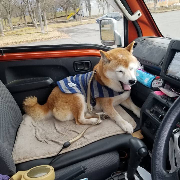 36957a50 1db9 4e93 8b01 4a8fc3efd39e 1671599926622