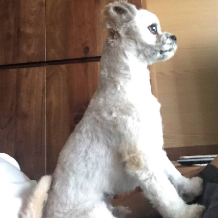 369587e7 17fd 4eb9 8538 d6f5f24143f8 1533966458934