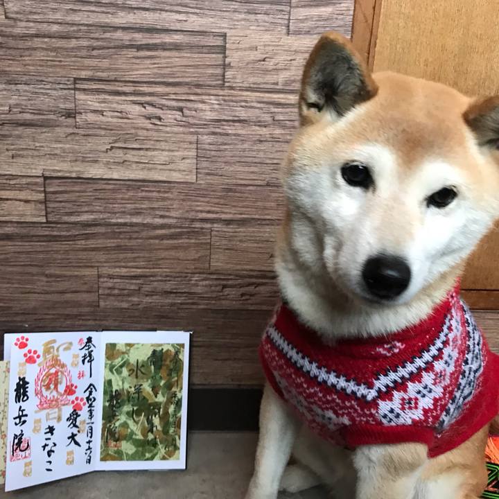 36958e24 aa5c 46cf b52c 0d535ae21fbb 1579163109229