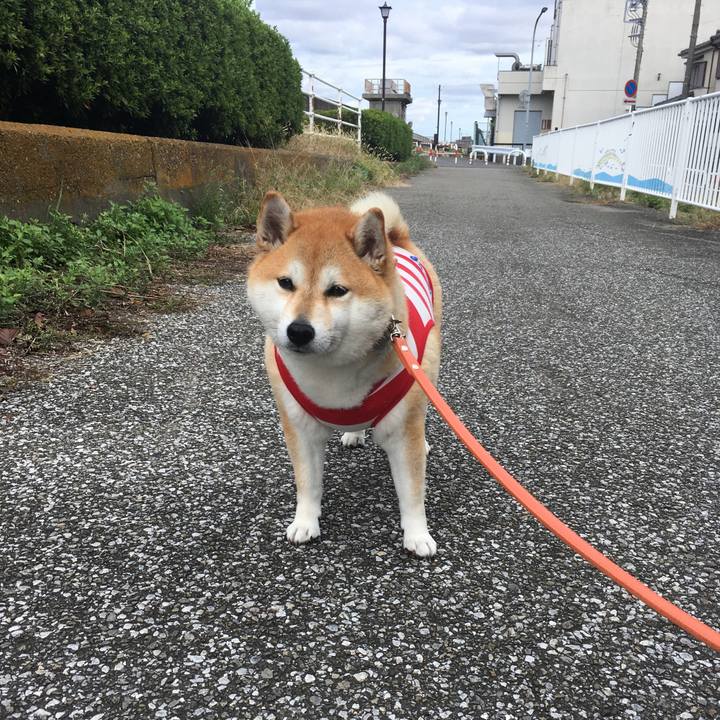 36967237 47cb 44b1 8a85 47b7f12c9f60 1571541495861