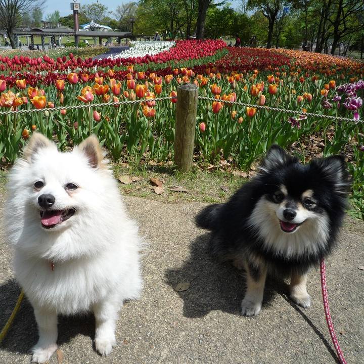 3696bd11 962d 4d9e a46c 68d16b96f264 1583840120421