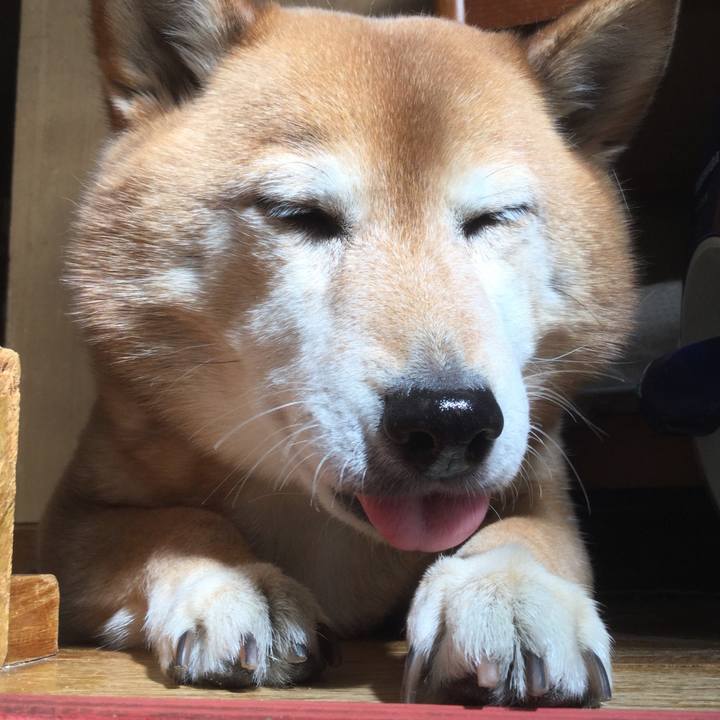 3696c7e4 081d 400c a2da a218dcac90a9 1614517461711