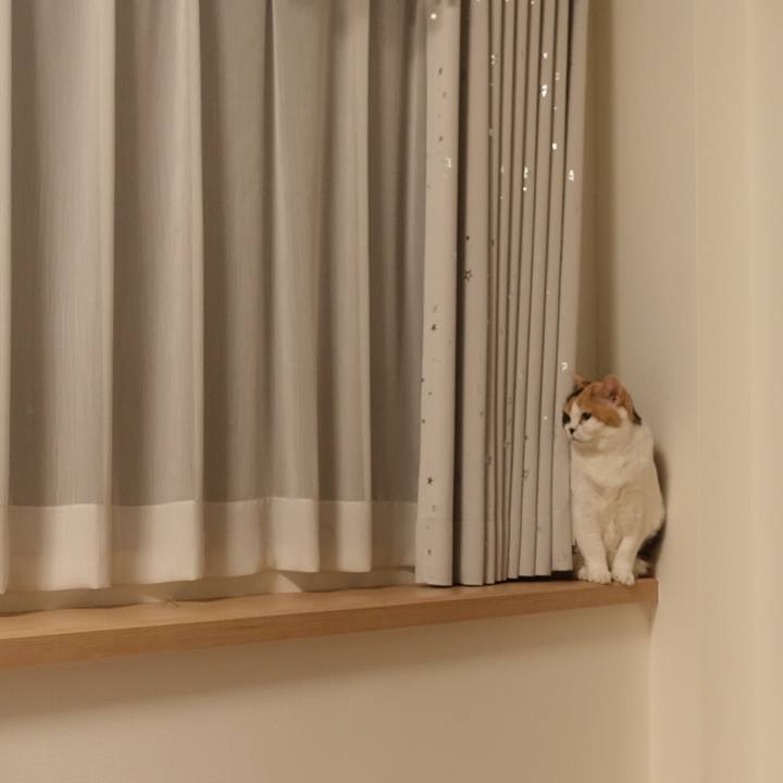 3696e3d9 d564 4e01 84fc ad10eacd17b2 1570631362345