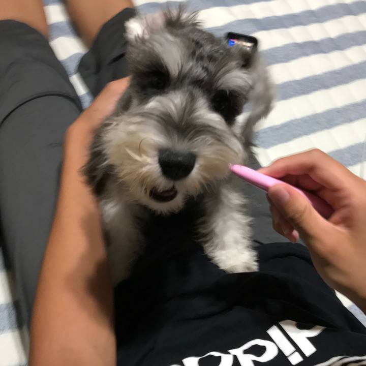 3696f7f6 80ff 474d bd1b a92575d2fe5b 1566317779417