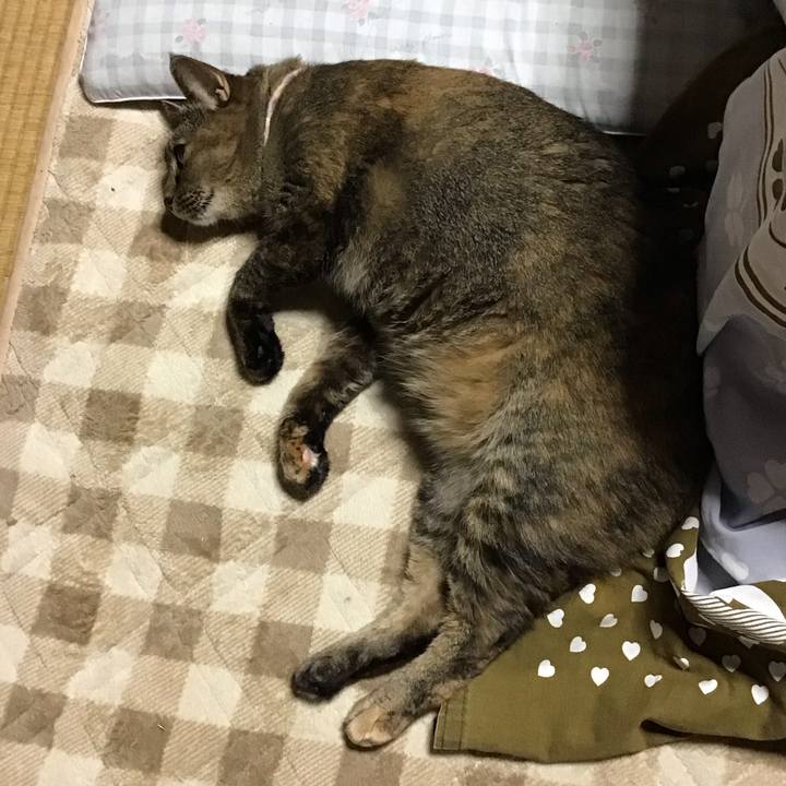 36970904 ca83 4fbf ac30 6845cfc7fb18 1699444078026