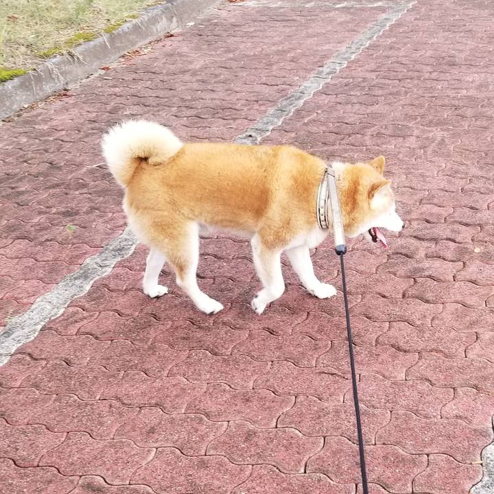 36973fa2 3f29 4b1d 9fc2 c2435e952032 1695106834073