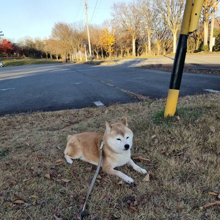 369758d3 c895 4b02 8c0c ef69041d453f 1700549521179