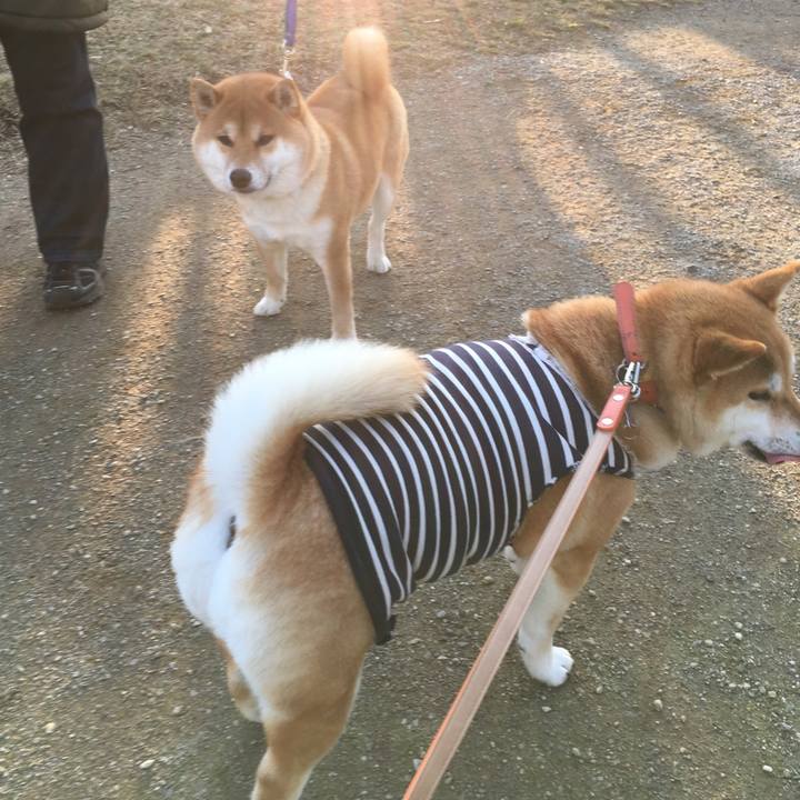 36978474 b503 49e6 8578 23ef2aa8a95b 1521274954721