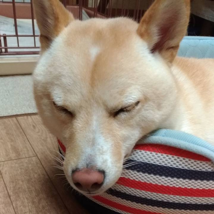 3697da10 3df7 48c6 b157 f04ff66600c0 1533270051729