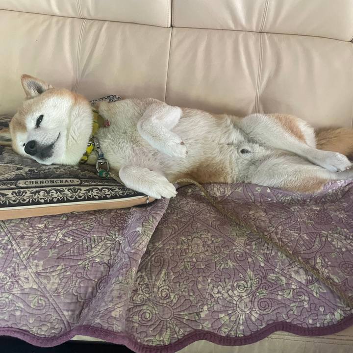 3697e1b7 9db0 4386 8215 ac4b6031940a 1685318400861