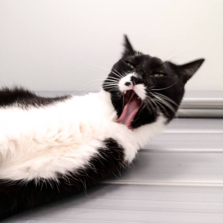 3697fc3b 60a2 4fc0 862a f35721d4ba5f 1543667627802