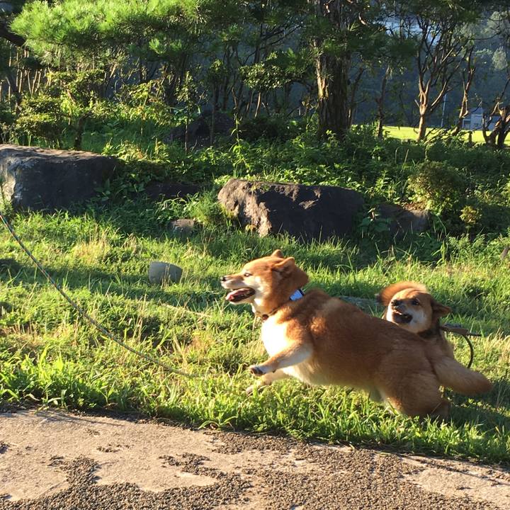 36982447 b111 457c b5f5 ff9aacfa28a9 1532208872586