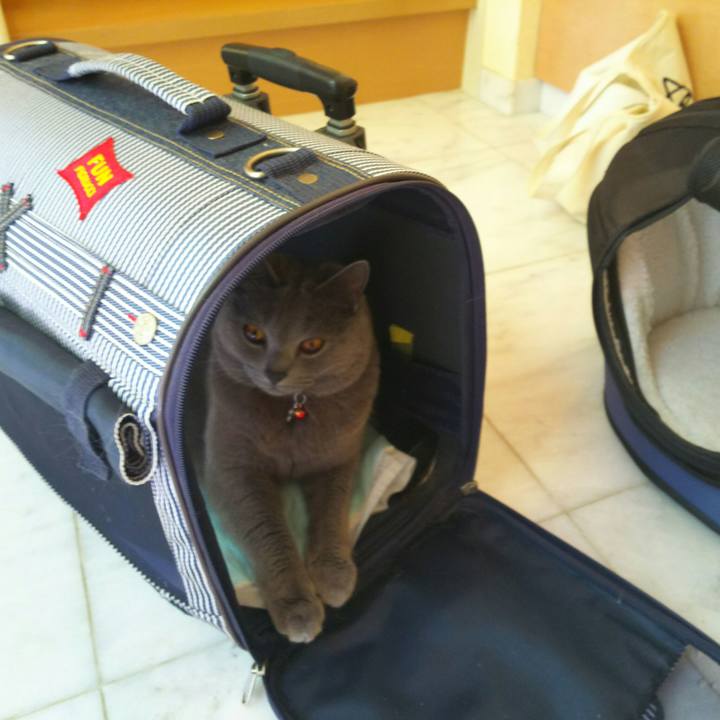 36988133 19e0 4df2 bf68 2693596e1b5f 1526869826563