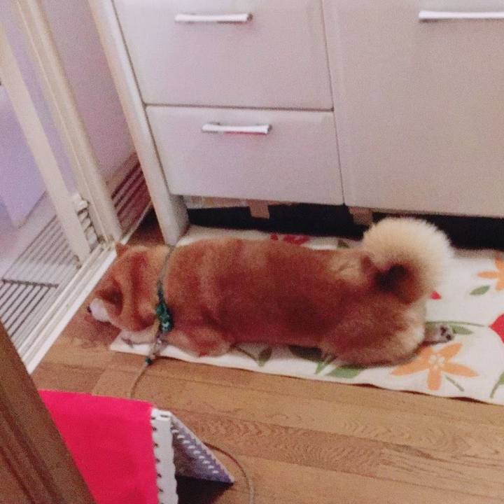 369882b2 3672 4916 a72e 25bb502f14c4 1556355921306