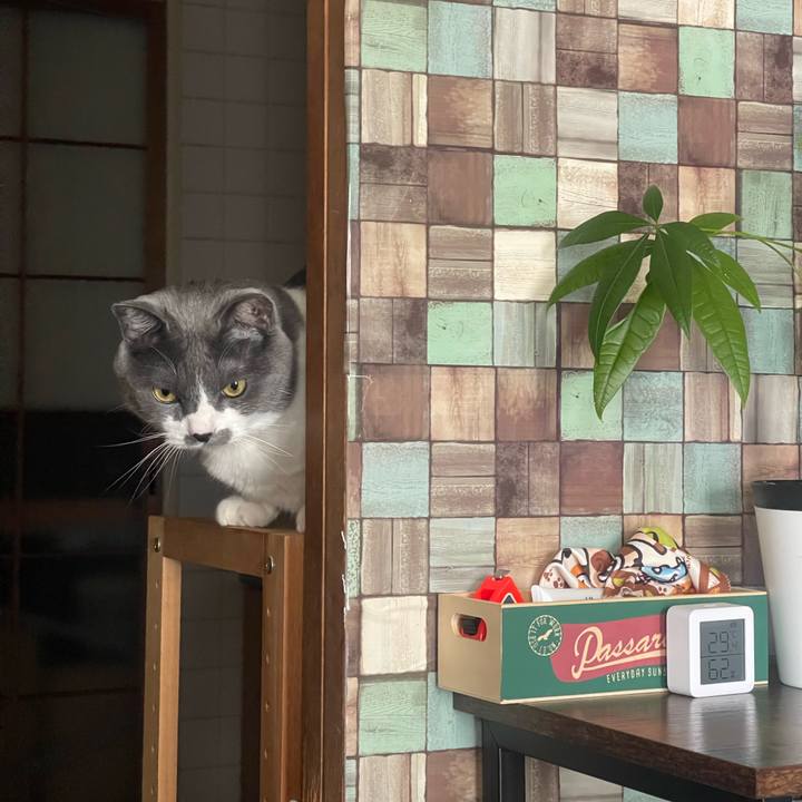 36989fe9 0948 4bf4 8227 07acaa0f08b8 1747800446625