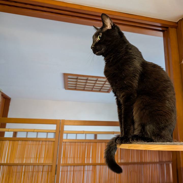 3698ce59 3141 4829 b542 357e994e0f5c 1765321418187