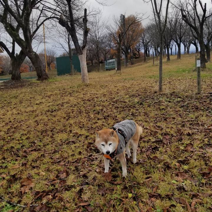 3698f3d2 50a8 4f45 9ae4 ce3a049d1f9e 1733466193360