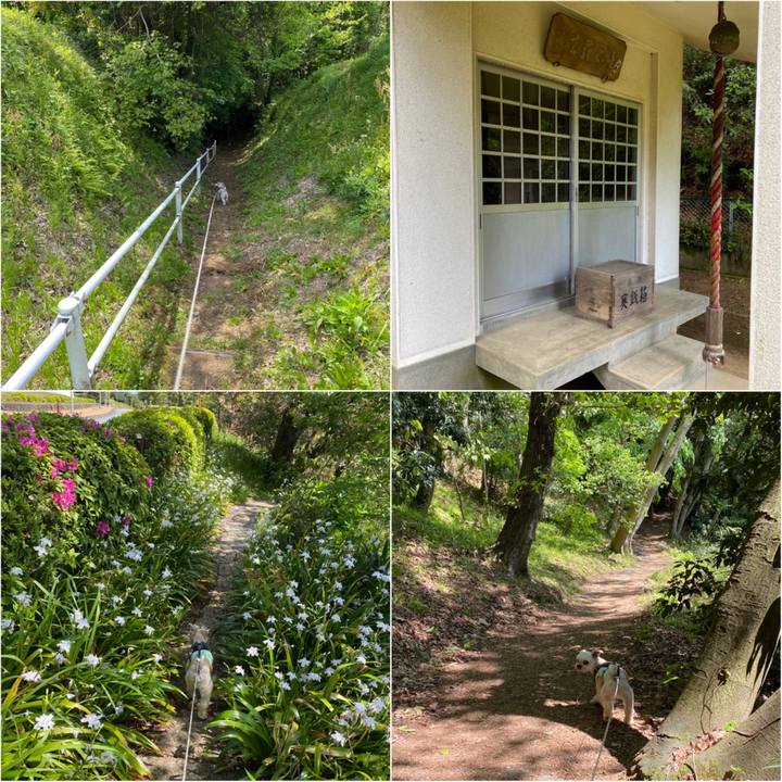 3698f856 7b48 4543 b181 87f1dc294763 1587814598916