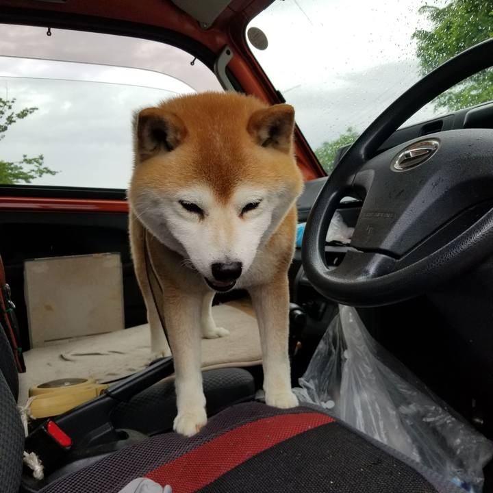 36990970 df24 40c6 b5ee af016c96b2d0 1653549597279