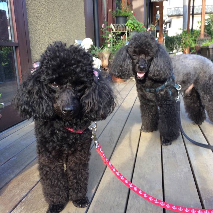 369909d3 d8df 464d 8504 98468ff5d35b 1529831563633