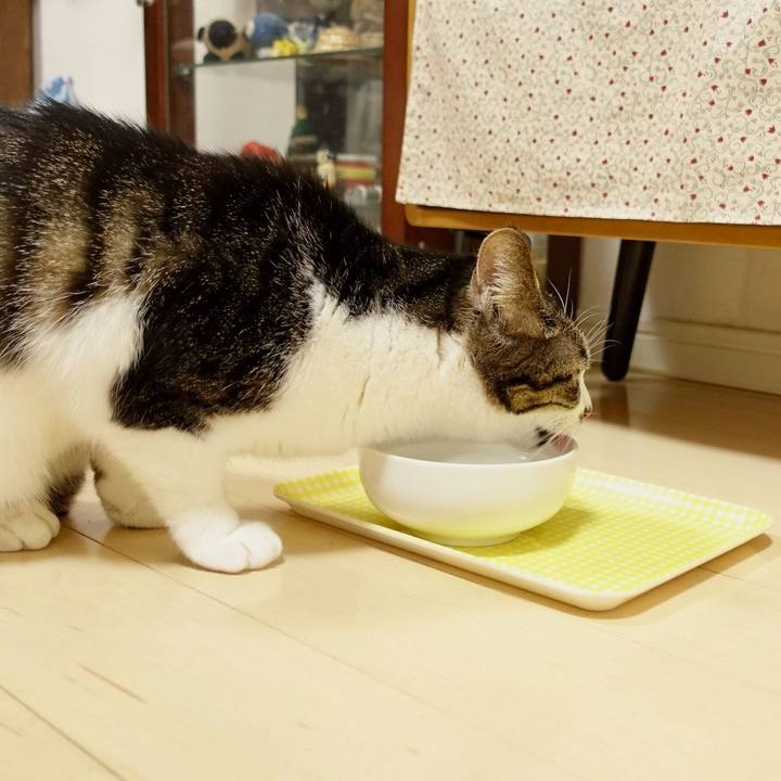 36991b66 12cd 43bf a655 9fa8137d17cc 1774087542764