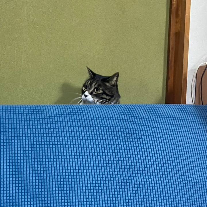 36993a1e ea69 47b7 b087 65e376bfcb40 1764289224805